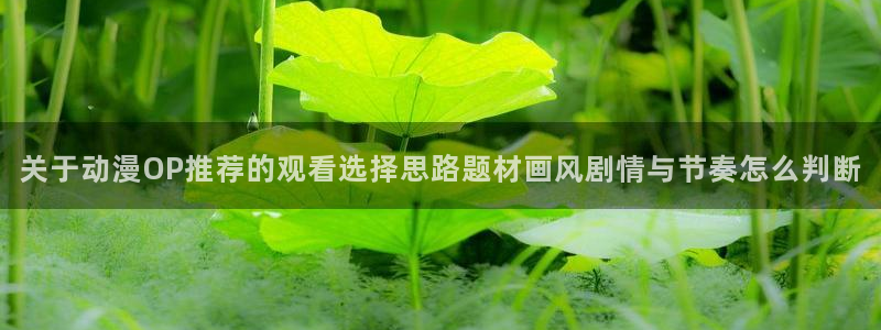 虫虫漫画在线：关于动漫OP推荐的观看选择思路题材画风剧情与节奏怎么判断配图