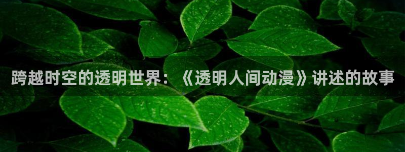 虫虫漫画完结榜：跨越时空的透明世界：《透明人间动漫》讲述的故事配图