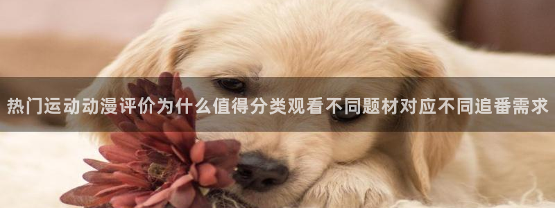 虫虫漫画在线全集：热门运动动漫评价为什么值得分类观看不同题材对应不同追番需求配图