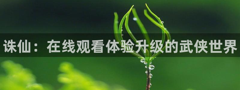 虫虫漫画完结大全：诛仙：在线观看体验升级的武侠世界配图
