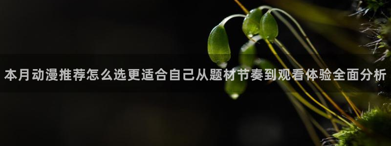 虫虫漫画完整版在线:本月动漫推荐怎么选更适合自己从题材节奏到观看体验全面分析配图