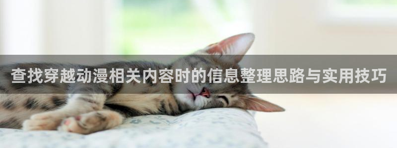 虫虫漫画官网:查找穿越动漫相关内容时的信息整理思路与实用技巧配图