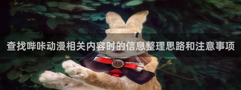 虫虫漫画阅读网:查找哔咔动漫相关内容时的信息整理思路和注意事项配图